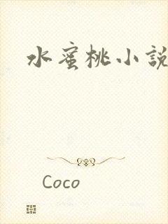 水蜜桃小说