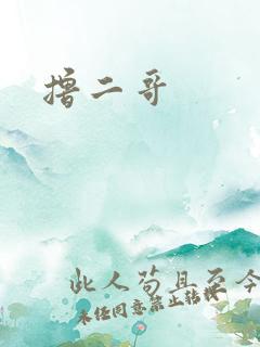撸二哥