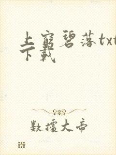 上穷碧落txt下载