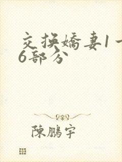 交换娇妻1一36部分