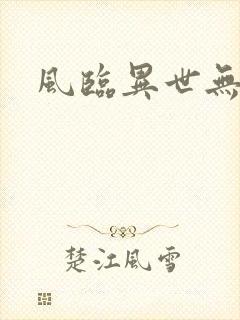 风临异世无弹窗