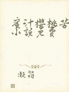 蜜汁樱桃苦咖啡小说免费