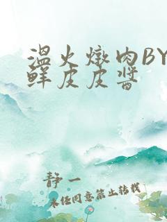 温火炖肉BY海鲜皮皮酱