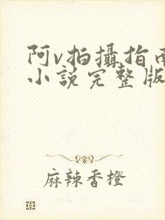 阿v拍摄指南说小说完整版