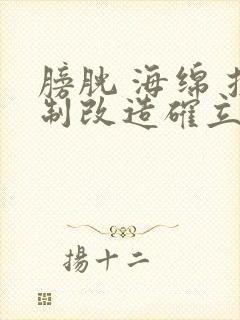 膀胱 海绵 控制改造确立m