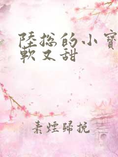 陆总的小宝贝又软又甜