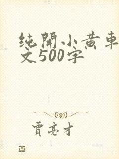 纯开小黄车小短文500字