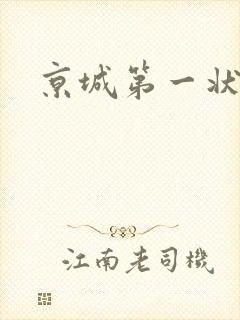 京城第一状师