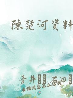 陈楚河资料