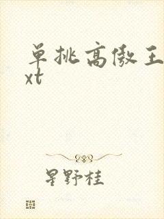 单挑高傲王子txt