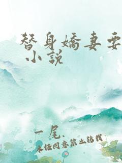 替身娇妻要离婚 小说