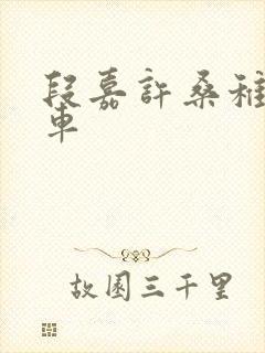 段嘉许桑稚浴室车