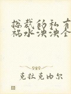 总裁的私有宝贝祸水泱泱全文阅读