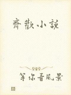 齐欢小说