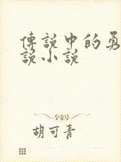 传说中的勇者传说小说