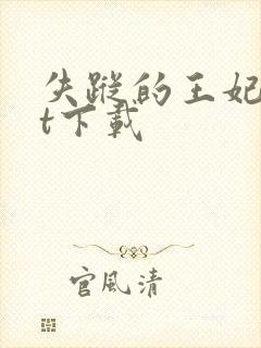 失踪的王妃txt下载