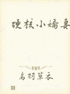 硬核小娇妻