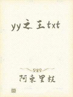 yy之王txt
