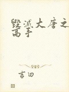 毁灭大唐之异能高手