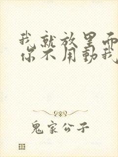 我就放里面不动你不用动我动