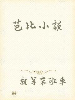 芭比小说