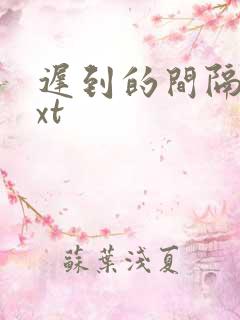 迟到的间隔年txt