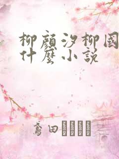 柳颜汐柳国安是什么小说