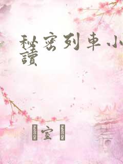 秘密列车小说阅读