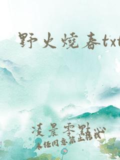 野火烧春txt