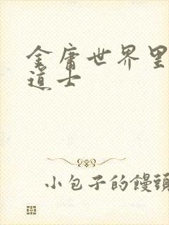 金庸世界里的小道士