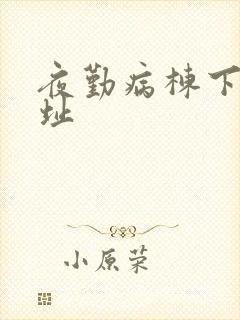 夜勤病栋下载地址