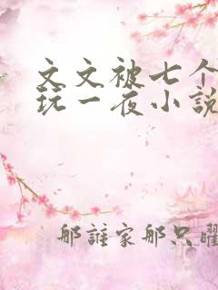 文文被七个男人玩一夜小说