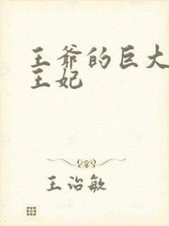 王爷的巨大进入王妃