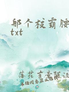 那个校霸腰好软txt