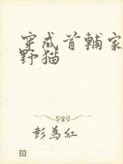 穿成首辅家的小野猫