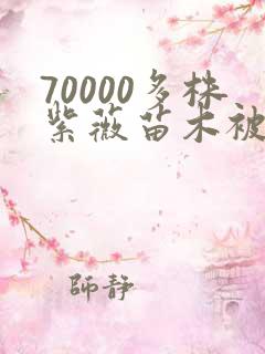 70000多株紫薇苗木被强毁