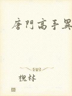 唐门高手异界游