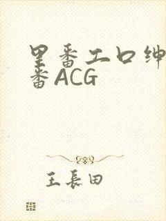 里番工口绅士里番ACG
