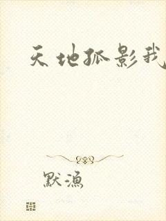 天地孤影我独行
