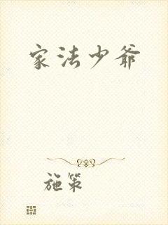 家法少爷