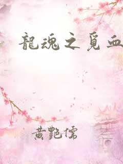 龙魂之觅血心缘