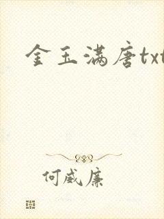 金玉满唐txt