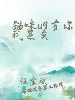 猫咪u9有你有我足矣