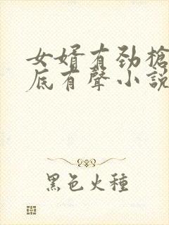 女婿有劲枪枪到底有声小说