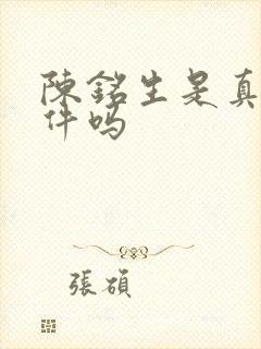 陈铭生是真实事件吗