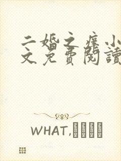 二婚之痒小说全文免费阅读