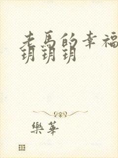 老马的幸福生活玥玥玥