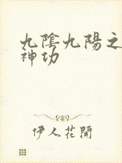 九阴九阳之阴阳神功