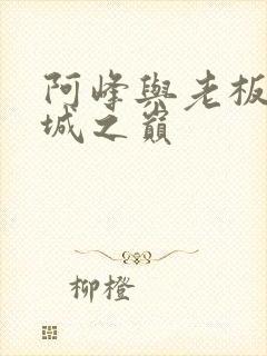 阿峰与老板娘倾城之巅