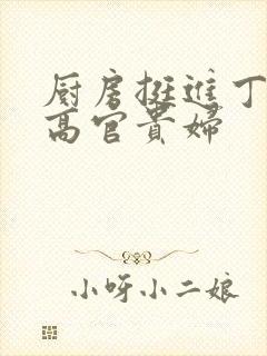 厨房挺进丁字裤高官贵妇